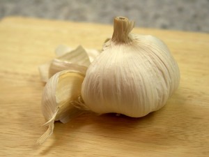 garlic-3472