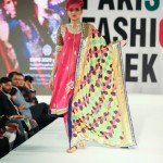 pakistan fashion week dubai 2014
