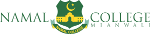 Namal College Logo